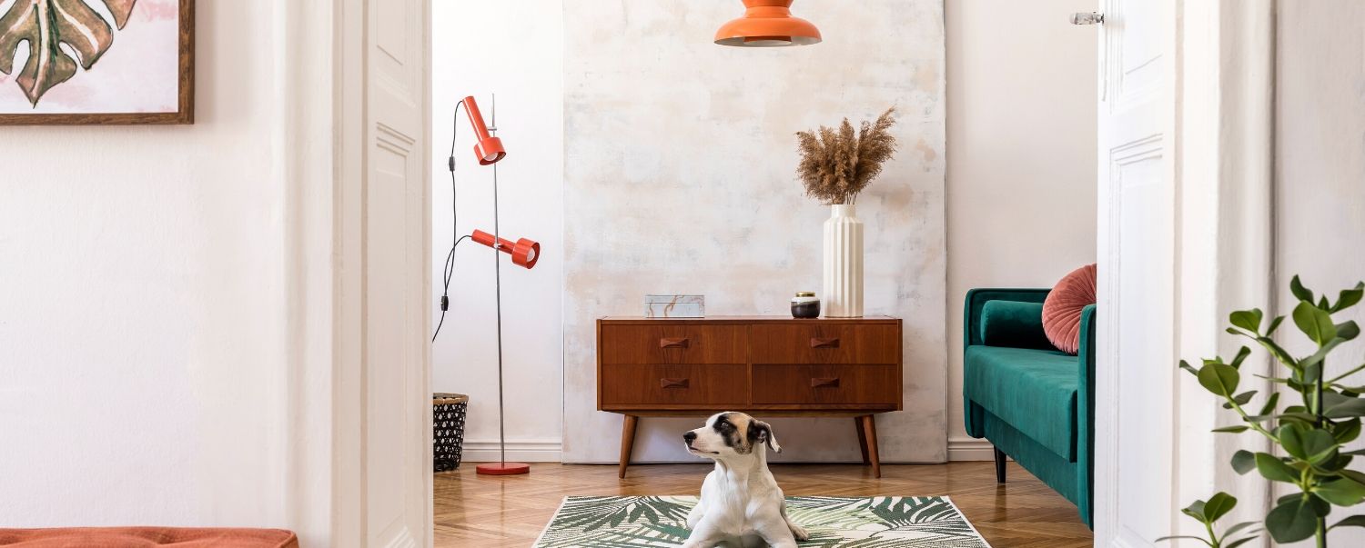 What cleaning Products Are Not Safe For Dogs?
