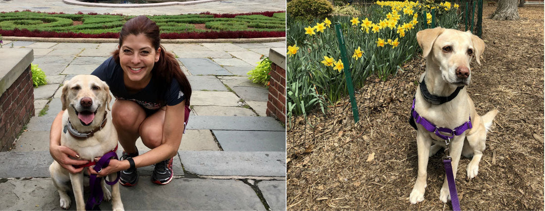 Ashley & Ella: How LINK Helped Change Their Lives