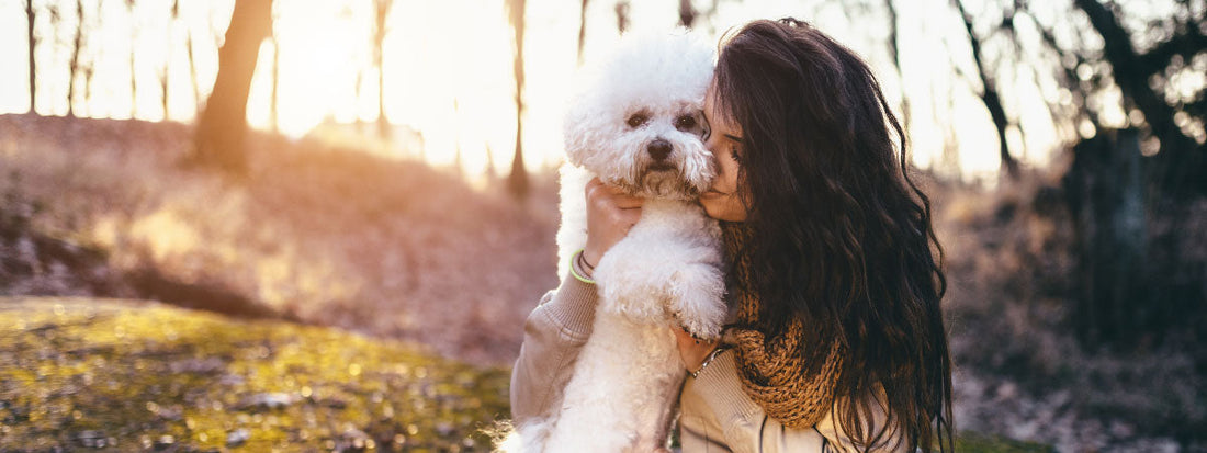 Emotional Support Dogs: Providing Comfort & Companionship