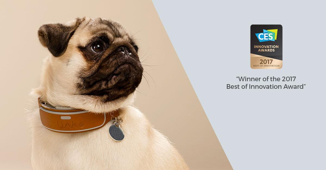 Link AKC wins Best of Innovation in Wearable Tech at CES 2017