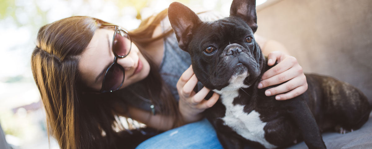 5 Fascinating Facts About Fido's Eyes