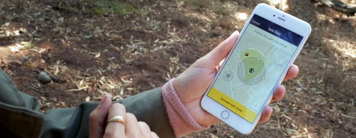 Where Art Thou, Fido?