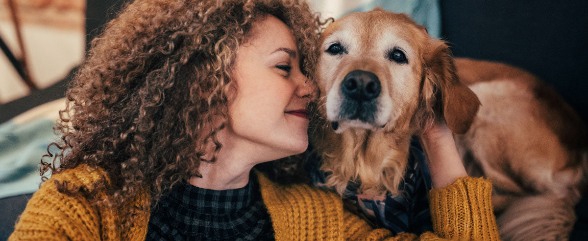 4 Heartwarming Dog Stories
