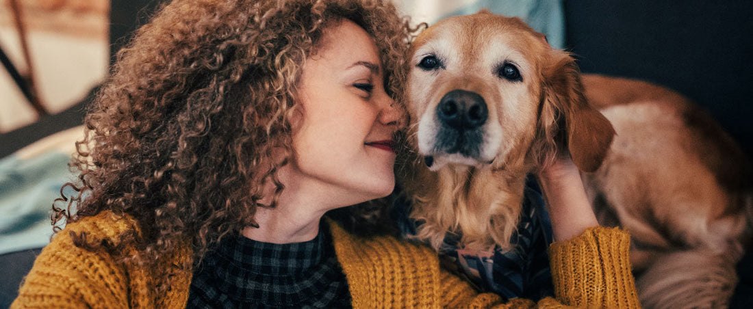 4 Heartwarming Dog Stories