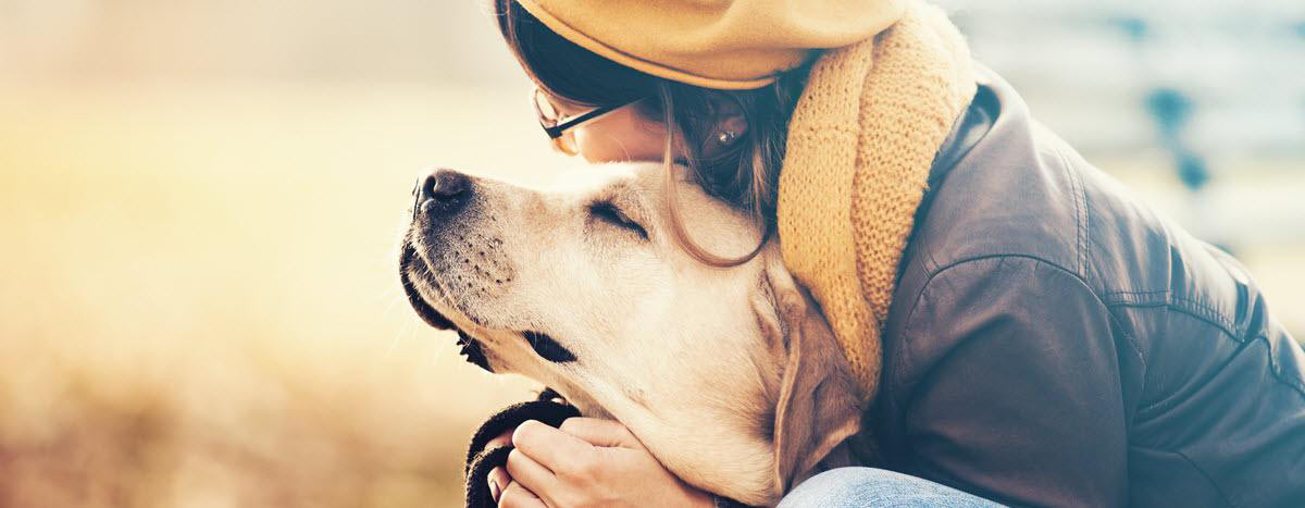 Two Important Steps to Prevent Heartworm in Dogs
