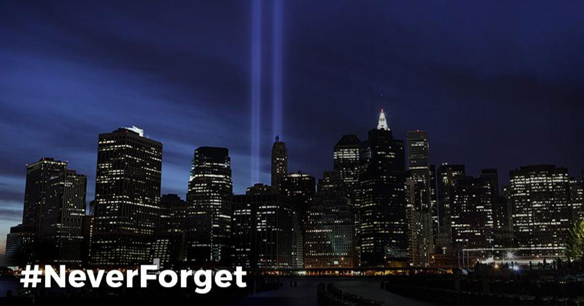 16 Years Later, Honoring the Search and Rescue Hero Dogs of 9/11