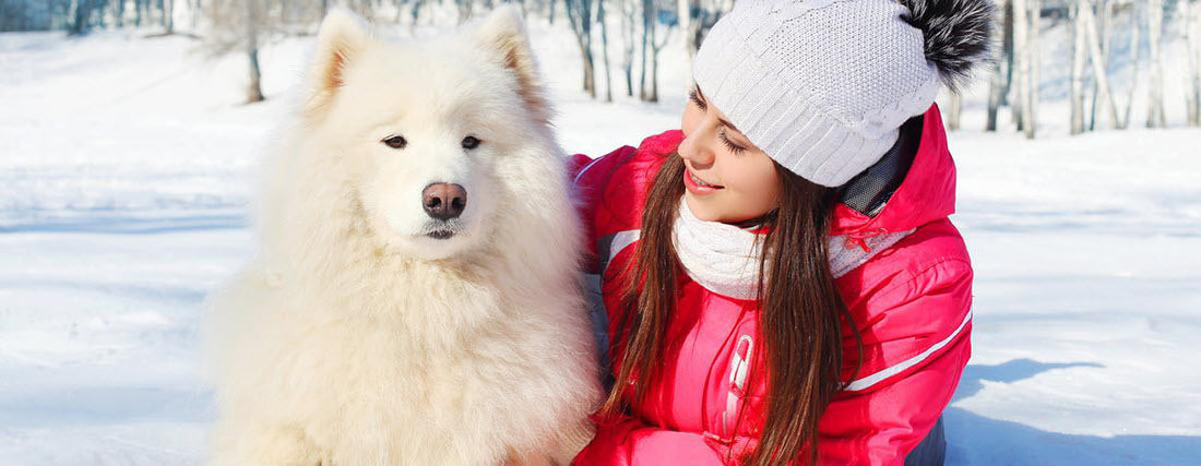 The Dos and Don'ts For Happy Howlidays