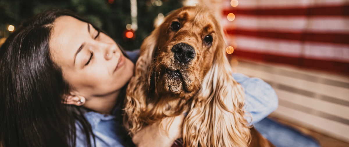 Holiday Must-Haves: Ultimate Pet Tech Gift Guide