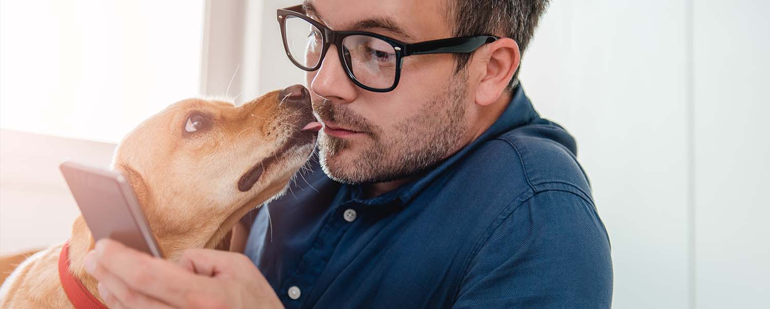 How to Get Free Stuff for Your Dog!