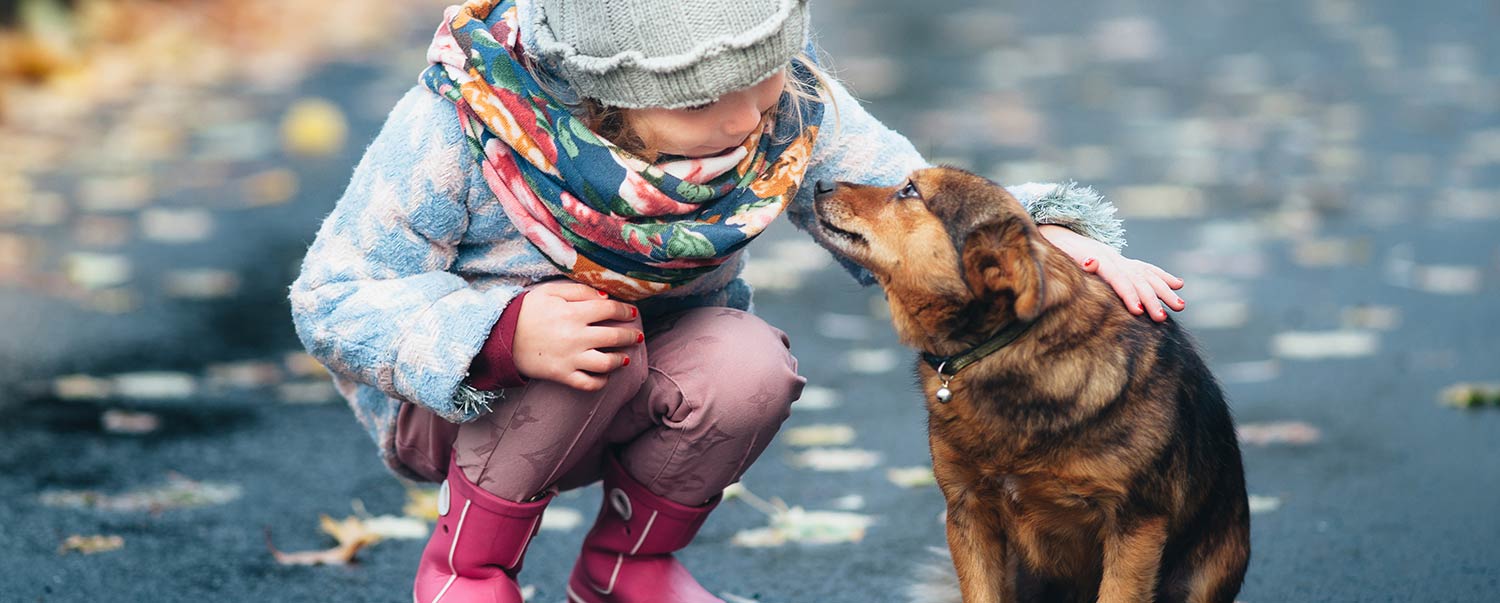 How to Help Pets and Pet Parents in the Holiday Season