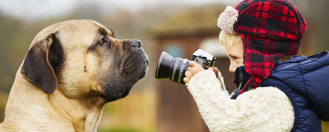 How to Take the Perfect Pet Photo