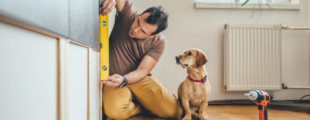 Dog Friendly Home Design With Fido in Mind