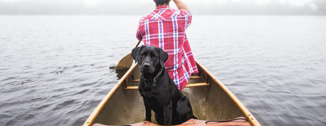 Boldly Go: Kayaking With Your Dog Made Easy