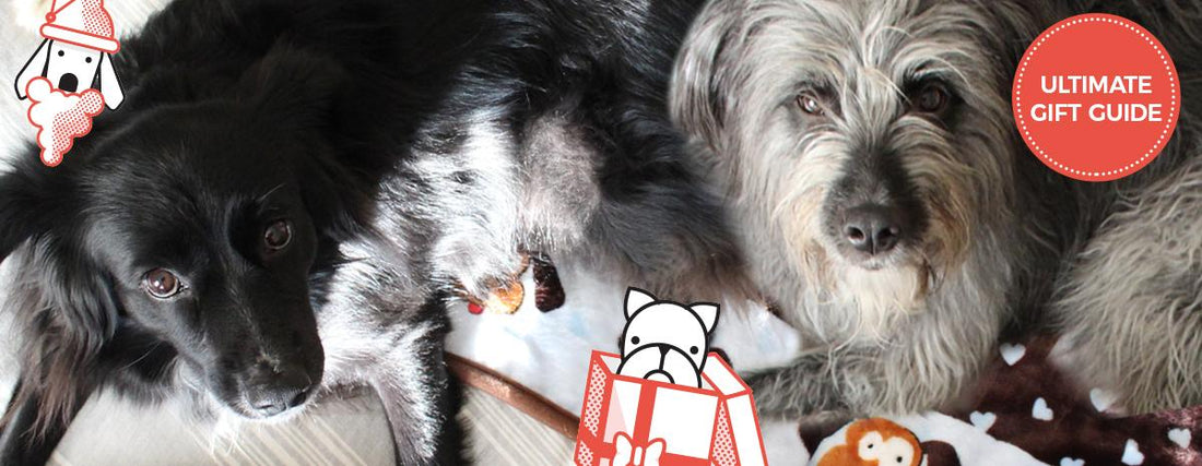 Kenzie & Callie’s Pawliday Gift Guide