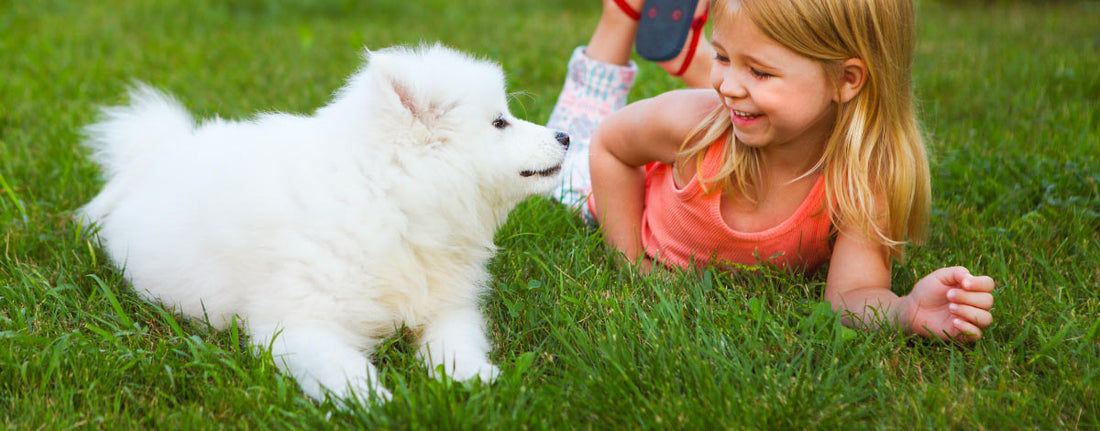 5 Ways to Keep Your Child & Pup Busy This Summer