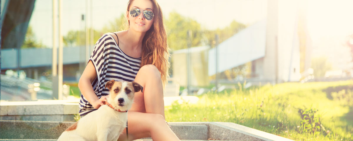 Big City Fun For Dogs In Los Angeles