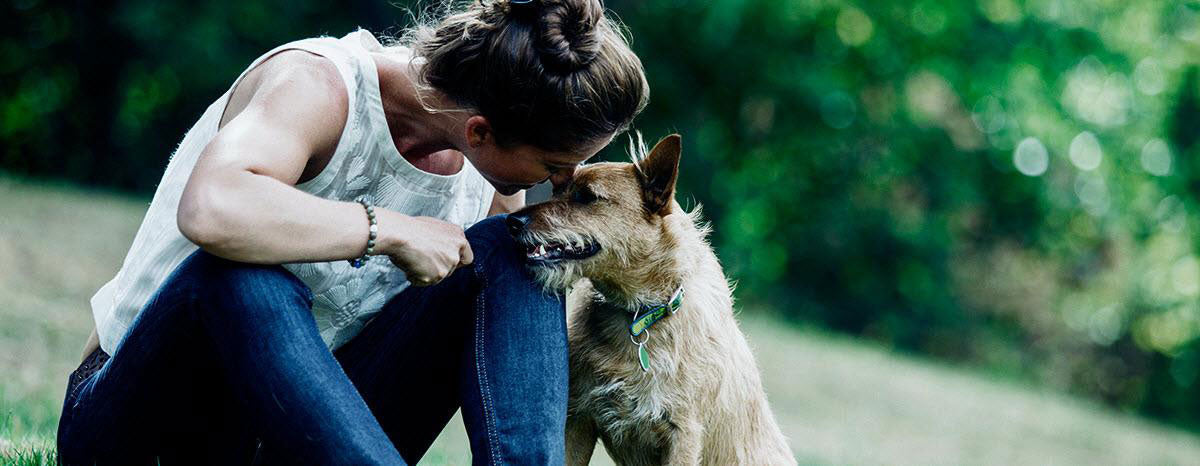 What To Do If Your Dog Goes Missing