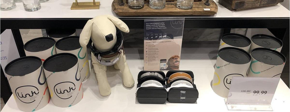 Link AKC Featured at Macys Herald Square
