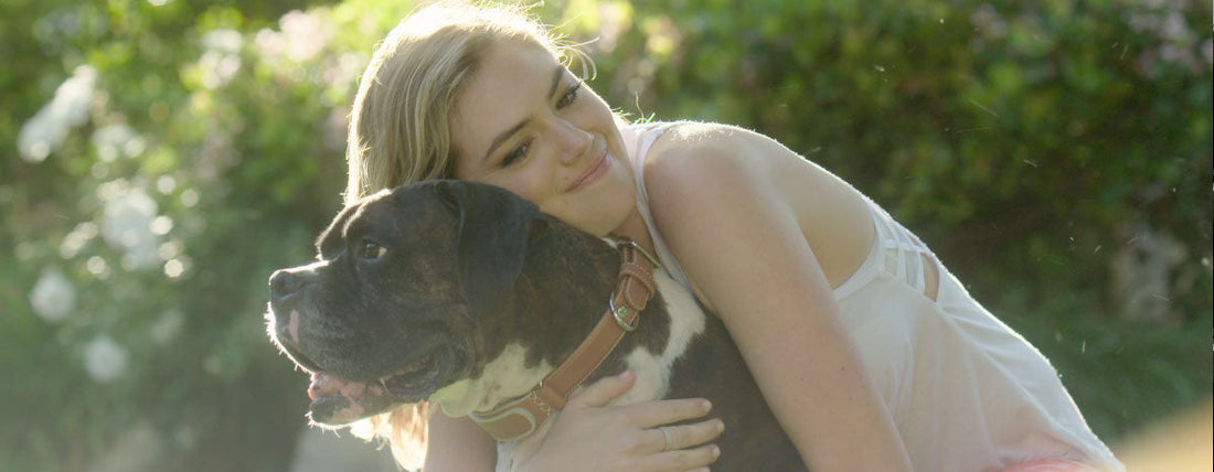Is Your Dog Helping You Live a Better Life? Experts Weigh In