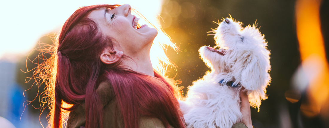 The Perfect Dog for You Based on Your Zodiac Sign