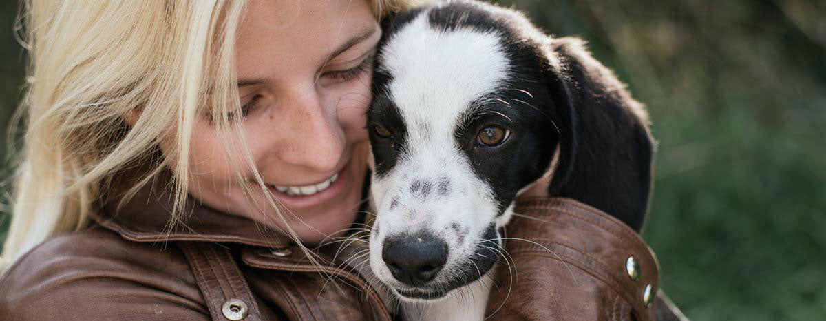 Introducing a Rescue Dog to Your Home