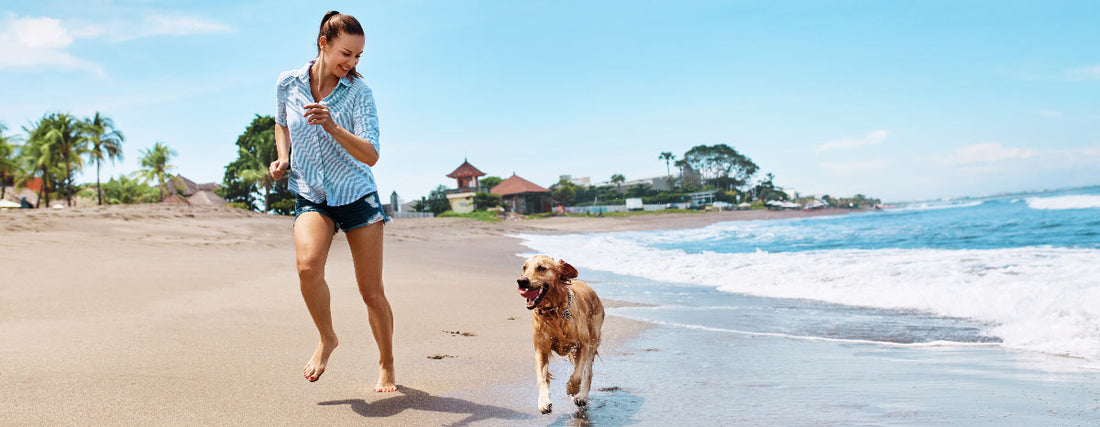 Get Out of Town: Dog-Friendly San Diego