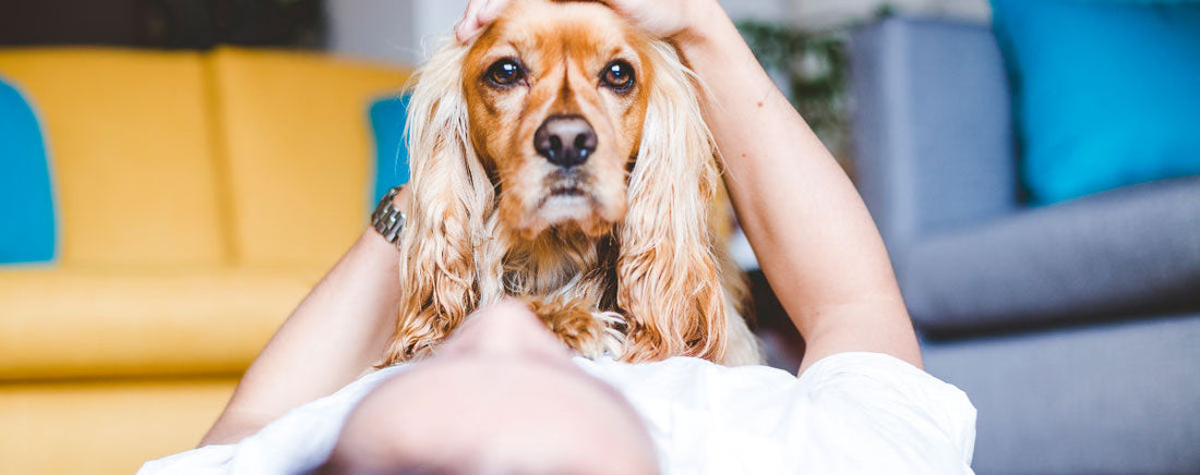 It's Official: We'd Rather Be With Pets Than People