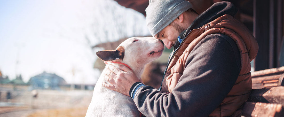 15 Reasons We're Thankful For Our Dogs