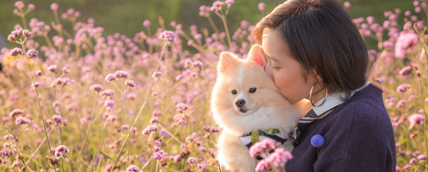 Top 10 Mother’s Day Gifts for Dog Moms