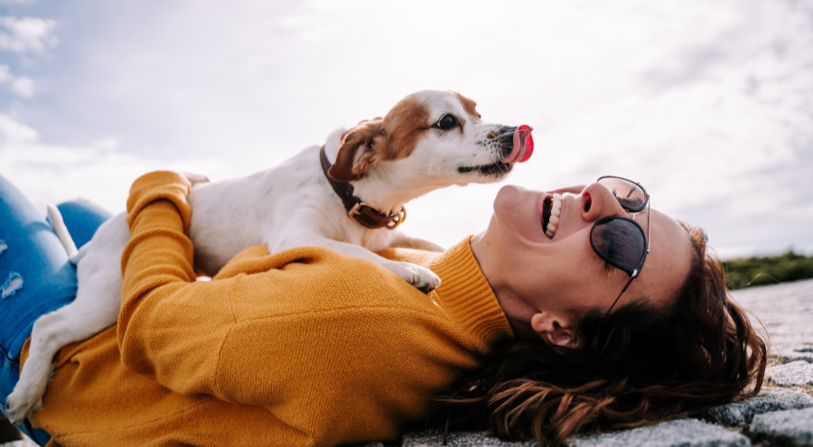 Why Does My Dog Lick Me?
