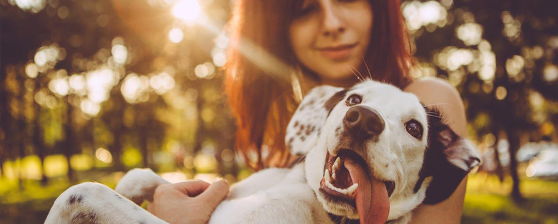 Celebrate National Best Friend’s Day With Your Dog