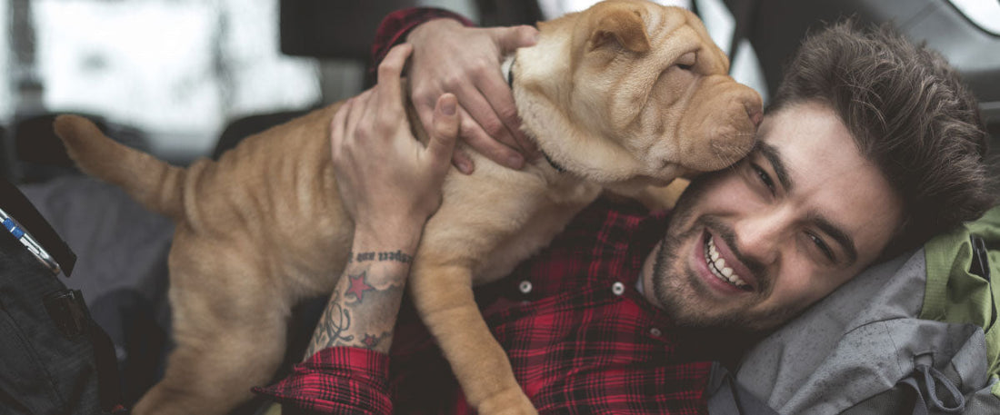 Honest & Loyal: Year of the Dog