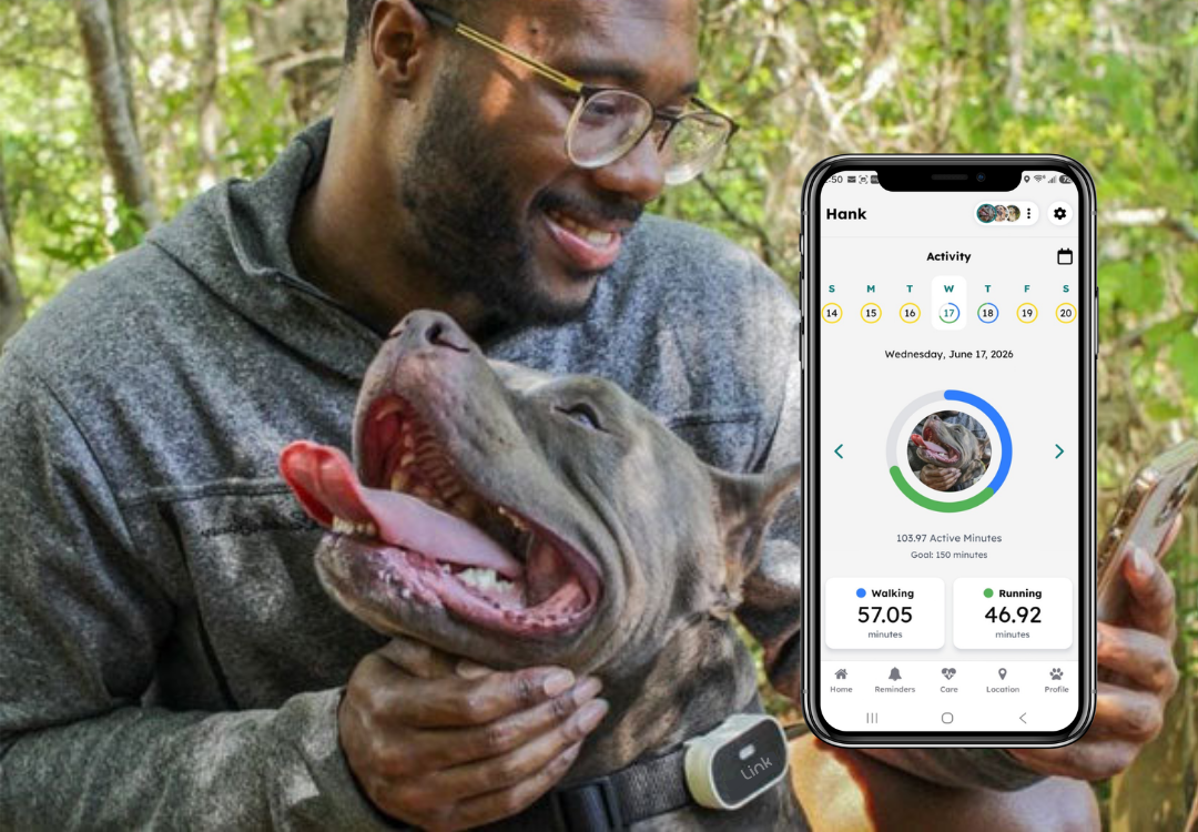 Man holding a dog with a smartphone displaying an app interface in a forest setting