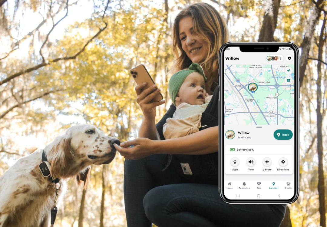 Woman holding a baby and a phone with a dog, outdoors in a forest setting.