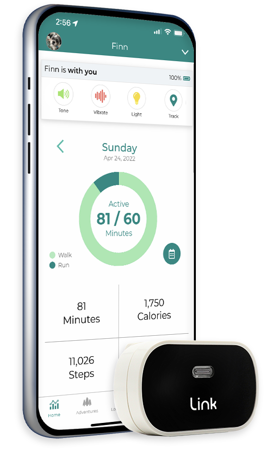 GPS Tracking Dog Collar Link My Pet