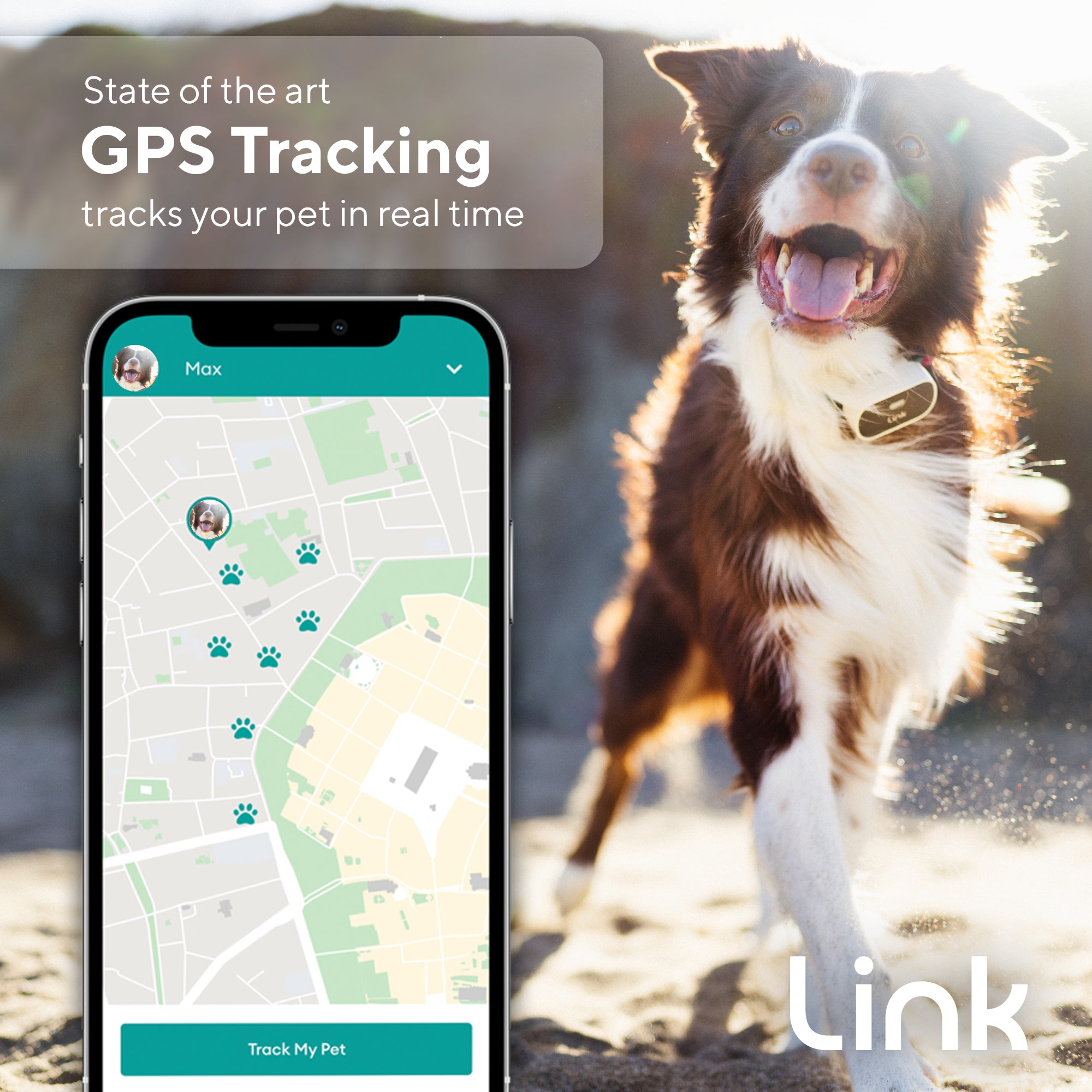 The Link My Pet Smart Wearable