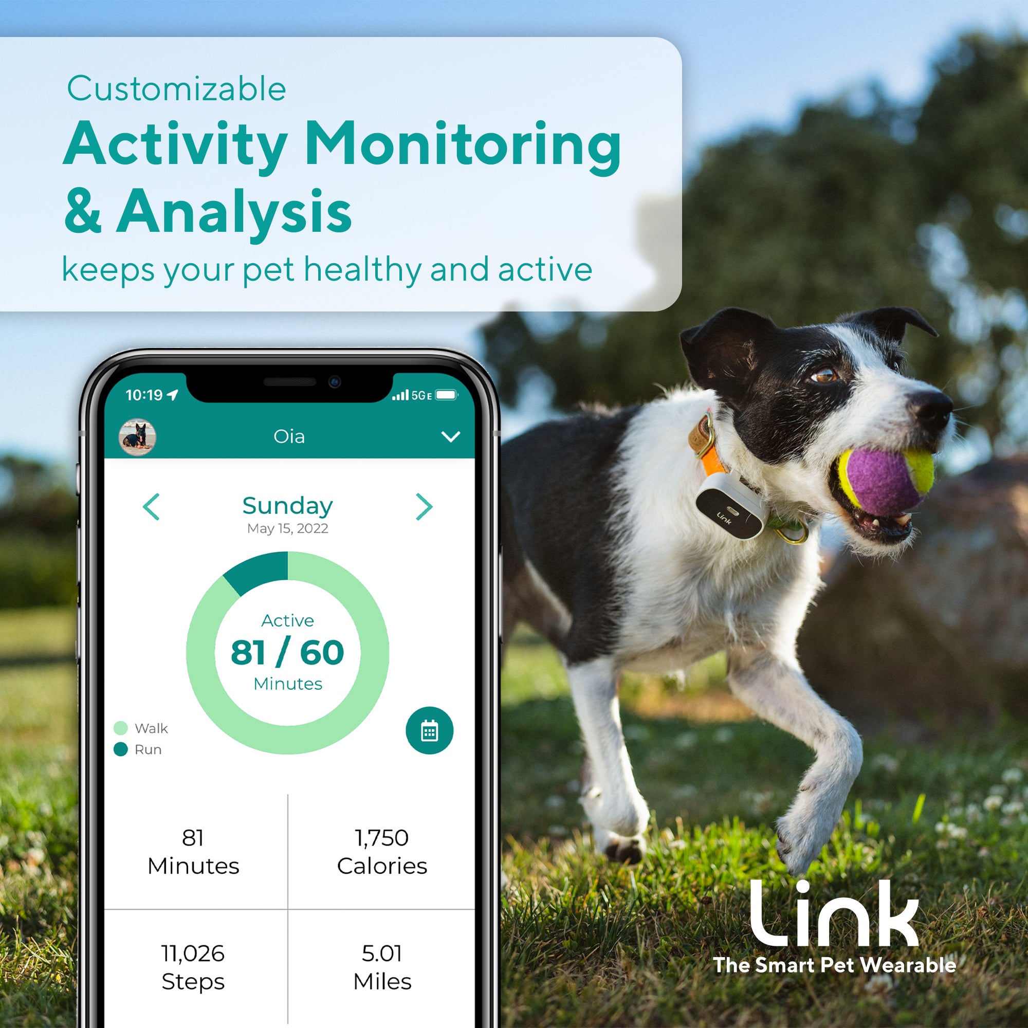 The Link My Pet Smart Wearable
