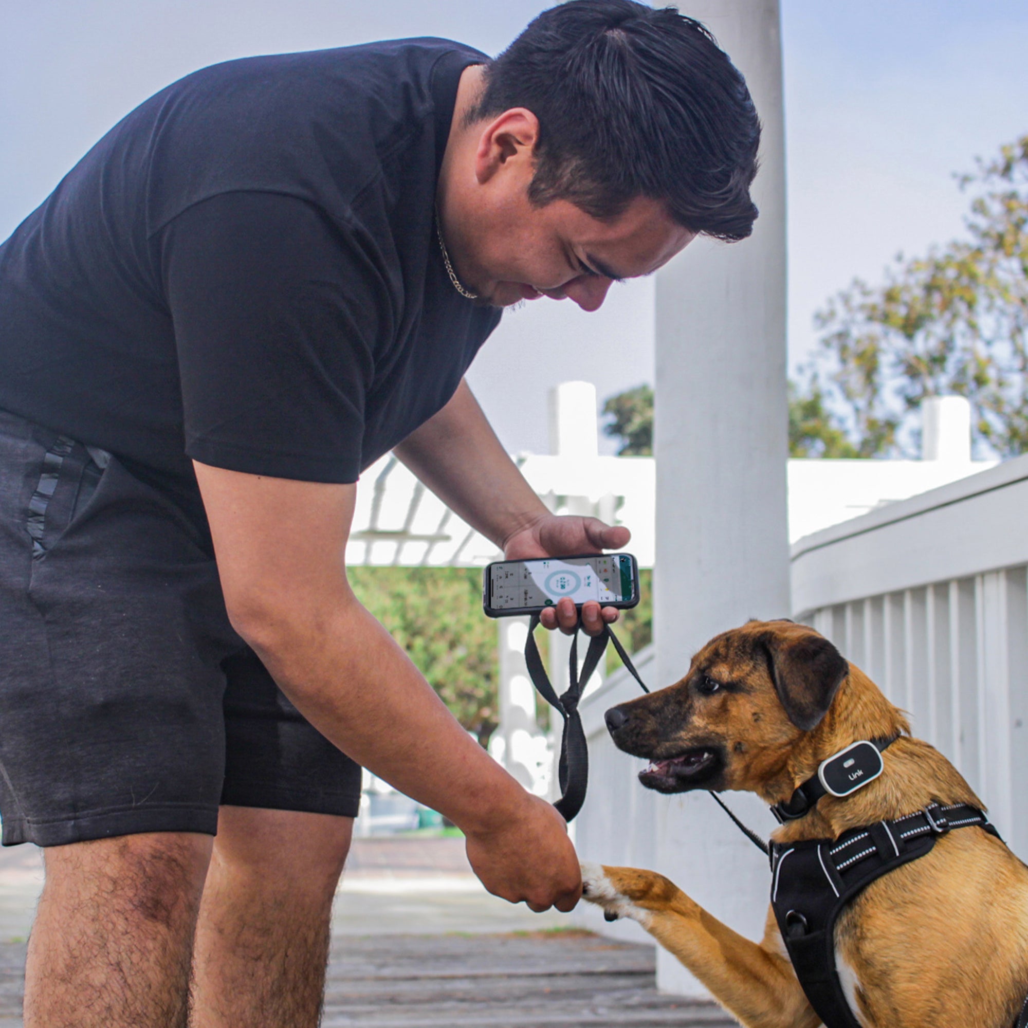 The Link My Pet Smart Wearable