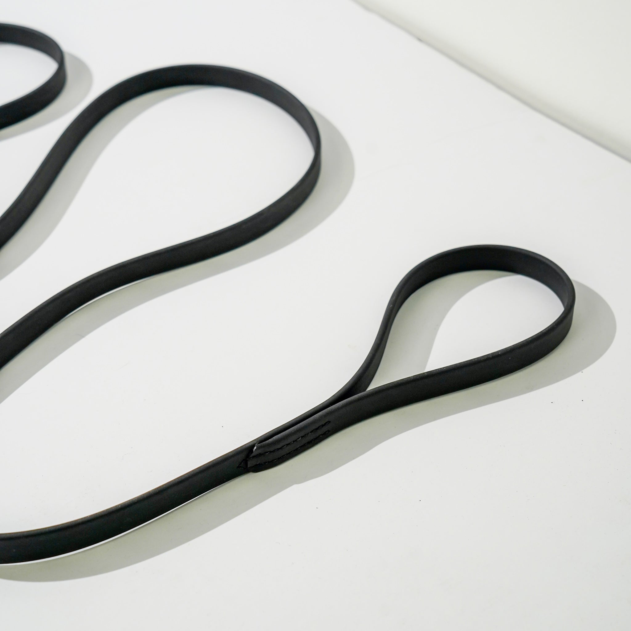 Link My Pet BioThane Snap Leash