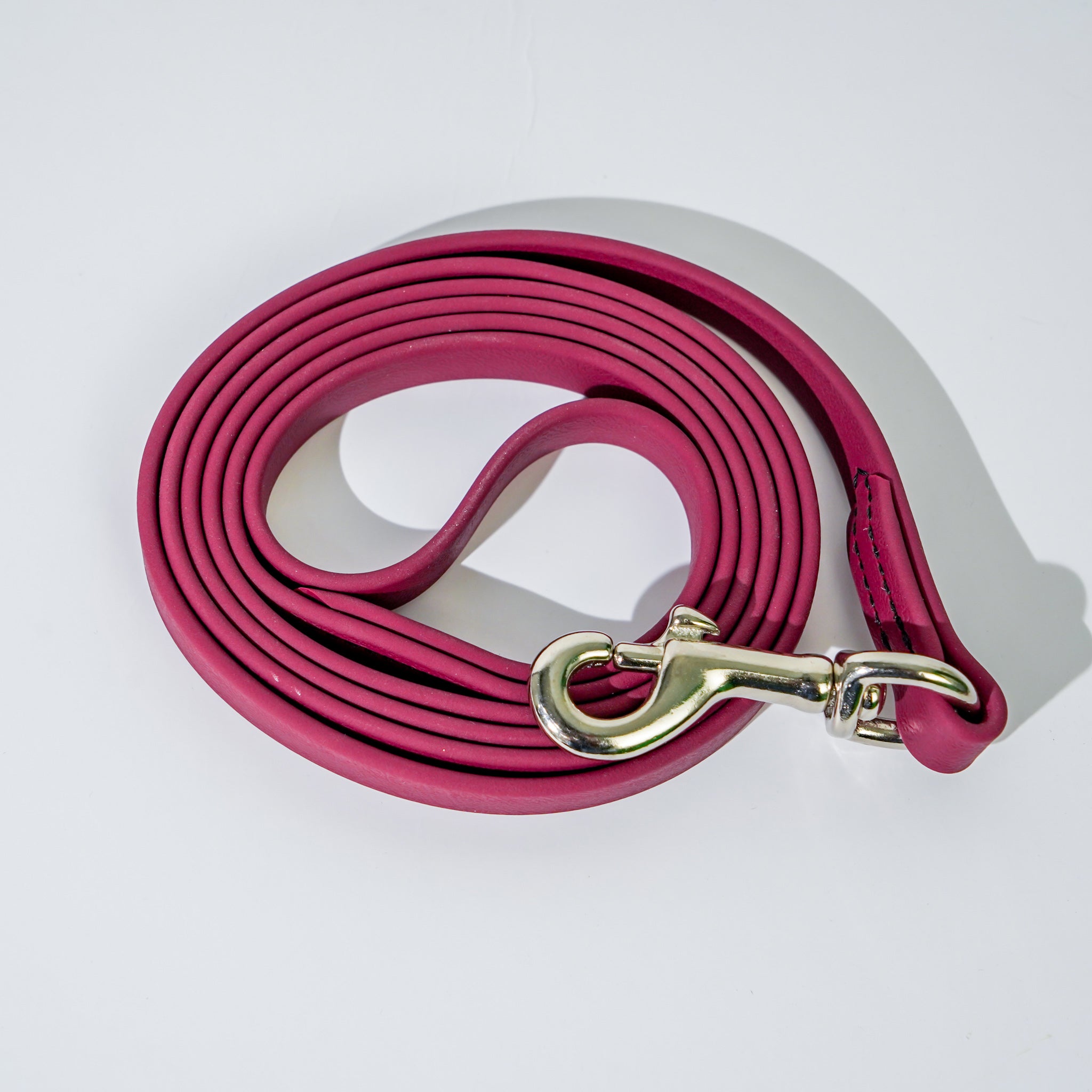 Link My Pet BioThane Collar & Leash Set