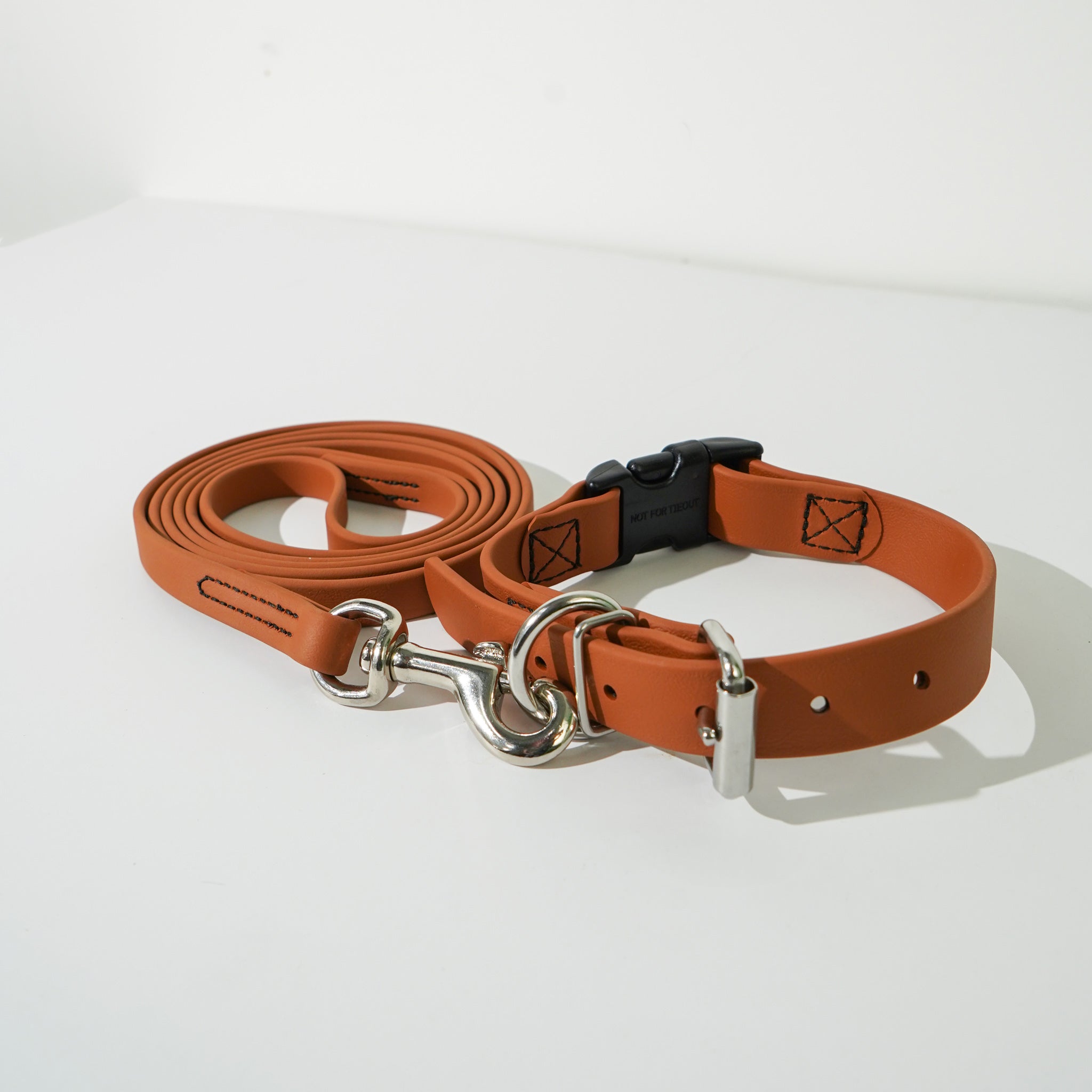 Link My Pet BioThane Collar & Leash Set