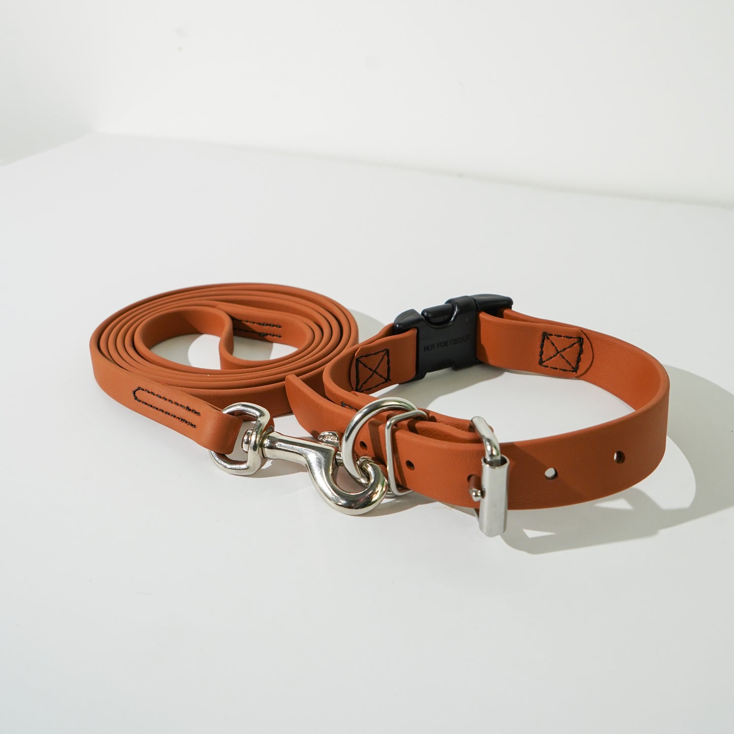 Link BioThane Collar & Leash Set